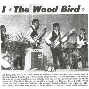 the-wood-bird-gruppo-anni-60