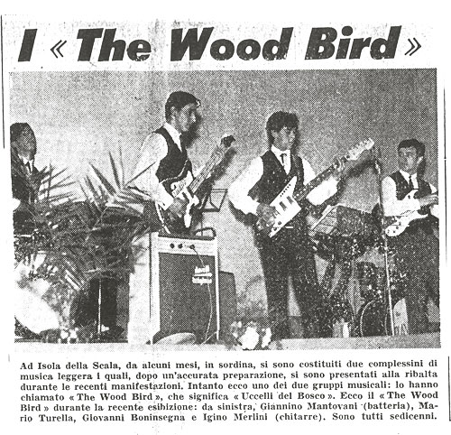 THE WOOD BIRD