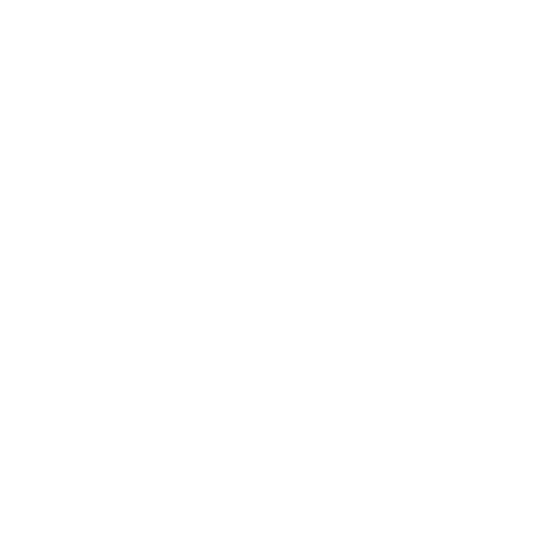 Zebre Parma Rugby - logo